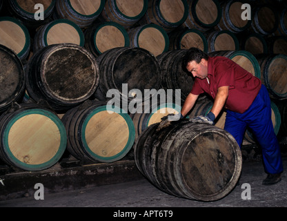 Campo Viejo Cave à Vin barils Cask Espagne winery Banque D'Images