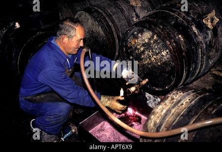 Cave à vin Rioja Paternina barils Cask Paternina Rioja Banque D'Images