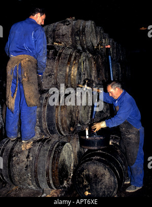 Cave à vin Rioja Paternina barils Cask Man Banque D'Images