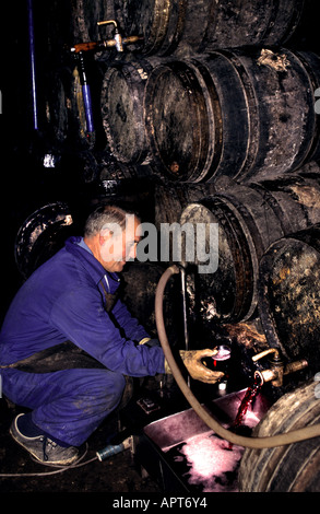 Cave à vin Rioja Paternina barils Cask Man Banque D'Images