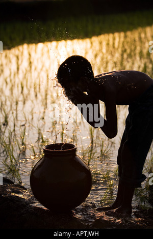 Silhouette d'un village de l'Inde rurale garçon laver le visage d'un pot en argile à côté d'un champ de riz. L'Andhra Pradesh, Inde Banque D'Images