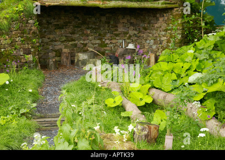 Flower Show Tatton jardin naturel avec une cabane et feuillage pétasite Banque D'Images