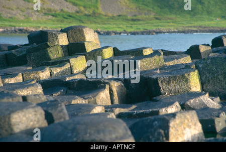 Détail de colonnes de basalte à la Chaussée des Géants en Irlande du Nord Banque D'Images