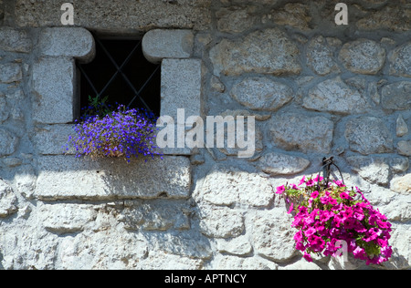 Italia Pescasseroli petite fenêtre et fleurs Banque D'Images