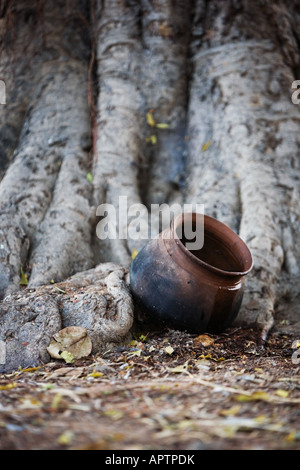 Indian clay pot en face d'un banyan tree dans la campagne indienne. L'Andhra Pradesh, Inde Banque D'Images