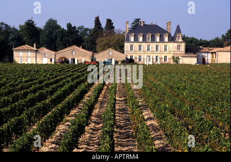 France Bordeaux Wine Vintage Chateau Medoc Banque D'Images