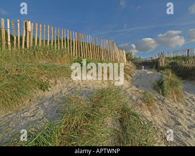 Clôture le long d'un chemin à travers les dunes couvertes d'herbe à la plage de Santec, près de Roscoff dans le Finistère en Bretagne Banque D'Images