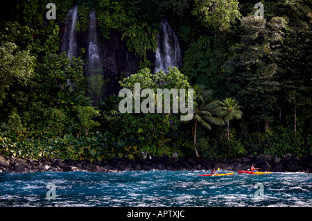 Tui Tai Croisières Aventure Fidji modèle Taveuni publié Banque D'Images