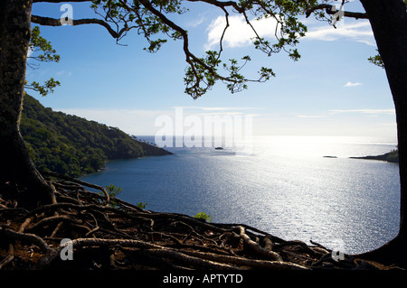 Tui Tai Croisières Aventure Fidji le cobia Island Ringgolds Banque D'Images