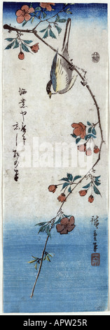 Petit oiseau sur une branche de Kaidozakura Kaido ni shokin Banque D'Images