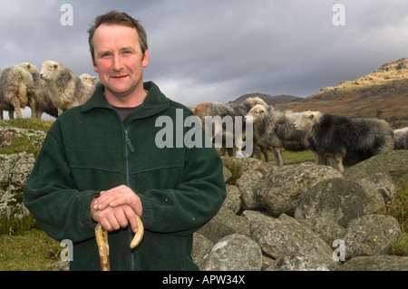 Berger avec son troupeau herdwick appuyée sur un escroc de Lake District Cumbria Banque D'Images