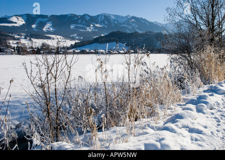 Paysage d'hiver, entre l'Altstaedten et Fischen Oberallgaeu Bavaria Allemagne Banque D'Images