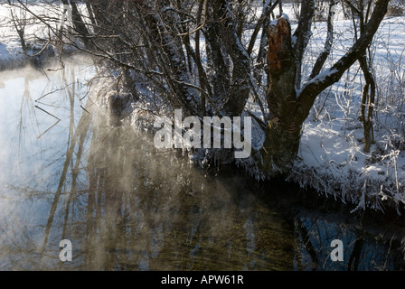 Paysage d'hiver, entre l'Altstaedten et Fischen Oberallgaeu Bavaria Allemagne Banque D'Images