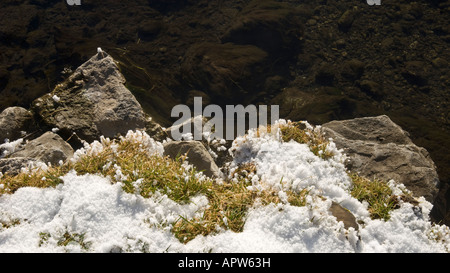 Paysage d'hiver, entre l'Altstaedten et Fischen Oberallgaeu Bavaria Allemagne Banque D'Images