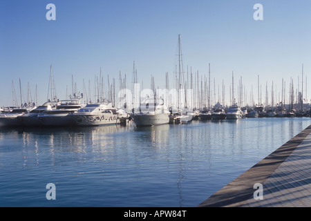 Bateau Bateaux et yachts amarrés dans le port de plaisance de Majorque sur le Paseo Maritimo de Palma de Majorque Îles Baléares Espagne. Banque D'Images