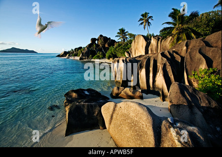 Plage et les rochers de granit sterne blanche Anse Source d'argent beach l'île de La Digue Seychelles Banque D'Images