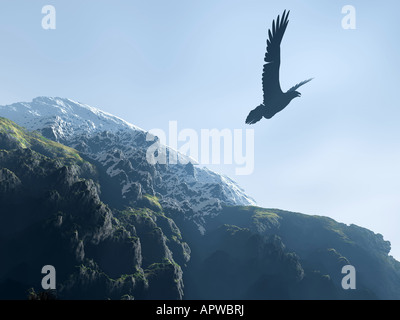 Silhouette d'un aigle planeur au-dessus de la neige des montagnes et sommets des montagnes avec un bois Banque D'Images