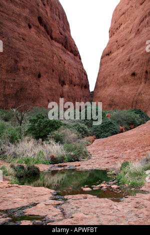 Les Olgas - Kata Tjuta - Mount Olga [Docker River Road, le Parc National d'Uluru-Kata Tjuta, Territoire du Nord, Australie, Océanie]. Banque D'Images