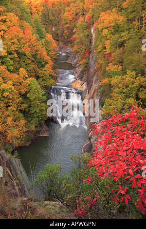 Parc national des Gorges de Tallulah, Tallulah Falls, New York, USA Banque D'Images