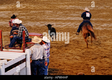 Attacher à un veau événement Cowtown rodeo NJ Banque D'Images