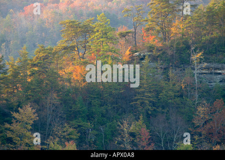 Vue panoramique de la gorge et Bluffs sur le Plateau Cumberland à l'automne Pogue Creek Montana Banque D'Images