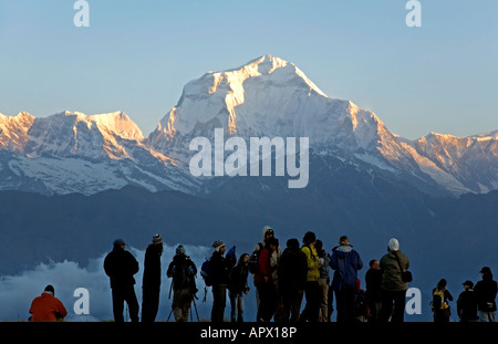Les randonneurs et Dhaulagiri Peak (8167m). Poon Hill. Ghorepani village. Circuit de l'Annapurna trek. Le Népal Banque D'Images