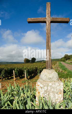 Traverser au premier cru entre vignoble et Pernand-vergelesses Savigny les Beaune, bourgogne, france Banque D'Images