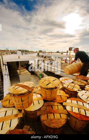 Crabes bleus chargement dans des paniers sur dock, Rock Hall, Maryland, USA Banque D'Images