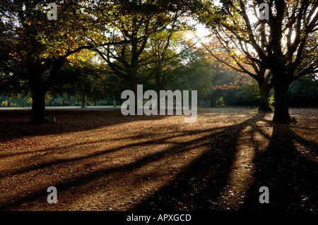 War Memorial Park Coventry England UK Banque D'Images