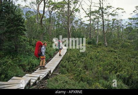 Les randonneurs sur la voie terrestre Cradle Mountain N P, l'Australie, la Tasmanie, Cradle Mountain National Park, marcheurs sur 5 jours Overland Trac Banque D'Images