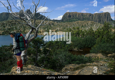Randonneur, le Labyrinthe, Cradle Mountain NP, l'Australie, la Tasmanie, Cradle Mountain National Park, femme backpacker au lac Elysia je Banque D'Images