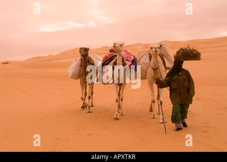 Un seul homme touareg traversant le Sahara libyen près de l'Ubari sur un jour nuageux terne avec ses chameaux Banque D'Images