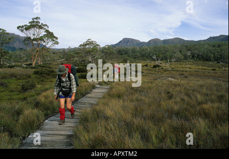 Randonneur, Cradle Mountain NP, l'Australie, la Tasmanie, Cradle Mountain National Park, woman walking la voie terrestre à 85 Km Banque D'Images