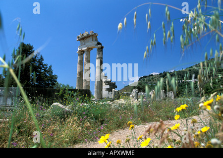 Temple à tholos le sanctuaire d'Athéna Pronaia, Delphi, Péloponnèse, Grèce Banque D'Images