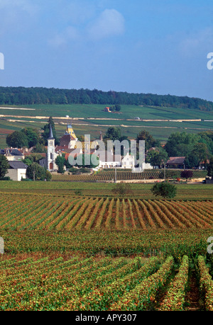 Beaune, Côte-d'Or, Bourgogne, France Banque D'Images