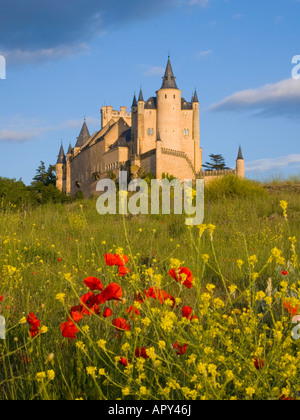 Ségovie, Castille et León, Espagne. Vue de l'Alcazar, dans le champ de fleurs sauvages en premier plan. Banque D'Images