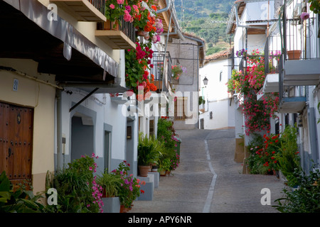 Guadalupe, Estrémadure, Espagne. Maisons blanches ornées de fleurs au coeur du village. Banque D'Images