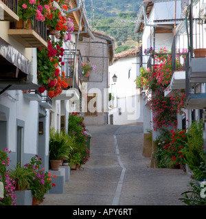 Guadalupe, Estrémadure, Espagne. Maisons blanches ornées de fleurs au coeur du village. Banque D'Images