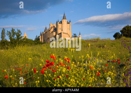 Ségovie, Castille et León, Espagne. Vue de l'Alcazar, dans le champ de fleurs sauvages en premier plan. Banque D'Images