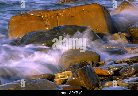 Côte Rocheuse à Birsay sur les îles Orcades, Ecosse Banque D'Images