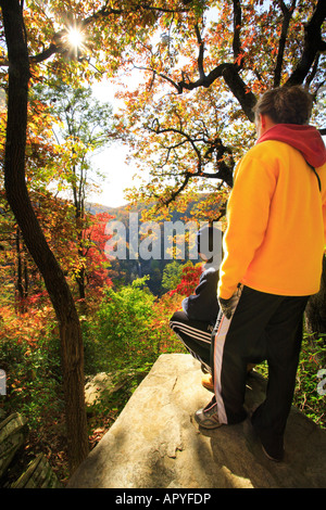 Raven Cliff Falls à, Caesars Head State Park, Cleveland, Caroline du Sud, USA Banque D'Images