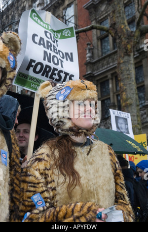 Femme en costume de tigre Esso dans la protestation contre l'enregistrement de l'environnement. Placard 'Couper' Carbone Forêts pas derrière elle. Londres de protestation. Banque D'Images