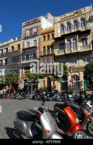 Sevilla Plaza de San Francisco Banque D'Images