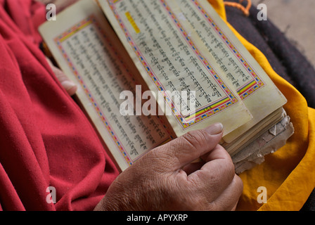 Libre d'une religieuse de la lecture d'un livre de prière tibétain monastère Jokhang Lhassa au Tibet Banque D'Images