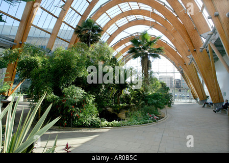 Les Jardins d'hiver du centre-ville de Sheffield, South Yorkshire Banque D'Images