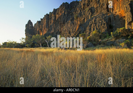 Windjana Gorge, récif dévonien, Windjana Gorge Nationalpark, Kimberley, Western Australia, Australia Banque D'Images