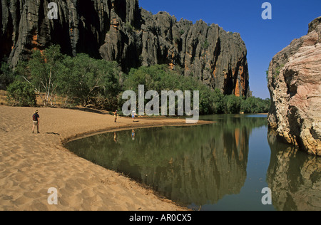 Windjana Gorge, ancien récif en Amérique, Kimberleys, Australie de l'Ouest, WA, Outback, Nord-Ouest, Windjana Gorge NP, Kimberley, Banque D'Images