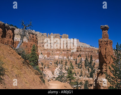 Les formations de roche sur le chemin de Bryce Point au sentier sous le bord, Bryce canyon, Utah, USA Banque D'Images