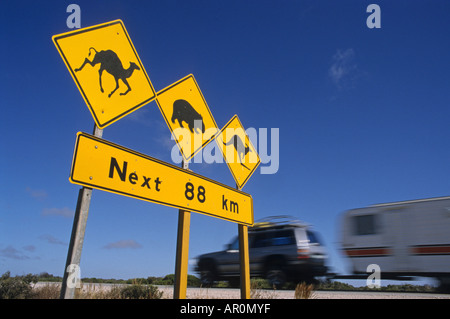 Panneau routier de l'Outback à dos de chameau, d'avertissement et les kangourous wombats est peut-être sur la route, Queensland, Australie Banque D'Images