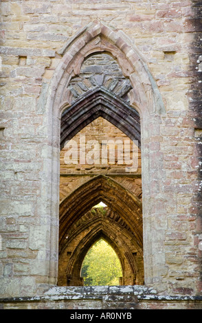 Arcades & Windows, Abbaye de Tintern Banque D'Images